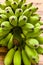 Unripe Banana / Green Unripe Banana / Unripe Banana on Wooden Ba