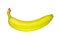 Unripe banana on a white background