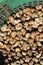 Unripe cashew heap