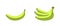 Unripe green banana Vector fruits Illustration concept