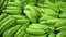 Unripe green bananas - fruit import shipping supermarket