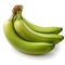 Unripe green bananas, healthy eating, organic produce