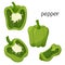 Unripe green pepper. Whole, half in cross-section and a quarter slice. Ingredient, an element for the design of food packaging,