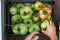 Unripe tomatoes in box top view closeup and woman hands. ugly tomatoes. agriculture concept