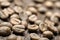 Unroasted or green coffee beans on wooden background - Macro