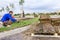 Unrolling grass, applying turf rolls for a new lawn