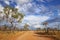 Unsealed road in the outback of Western Australia