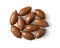 Unshelled pecan nuts isolated on a white background. Group of whole unpeeled pecans cutout. Macro of Carya illinoinensis tree