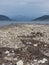 Unsorted garbage on pebble of sea shallow with medical mask, paper, grass, plastic and other junk front view sea landscape