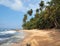 Unspoiled beach with lush vegetation