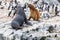 Unspoilt, wild nature in Patagonia in the Beagle Channel