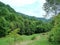 Unsurpassed landscapes of beech forests on the slopes of the Transcarpathian hills of Tyachiv region.