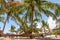Unter Palmen in der Watamu Bay, Kenya