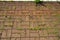 Untidy paving slabs overgrown with weeds.