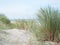 Untouched Beach of the Baltic Sea, Coastal Dunes with Beach Grass