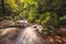 Untouched Green Black Forest River Scenery with river