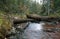 Untouched natural river running through forest in autumn