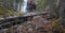 Untouched natural river running through forest in autumn