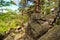 Untouched nature with cliffs and waterfalls.