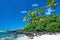 Untouched sandy beach with palms trees and azure ocean in background