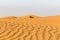Untouched simple desert landscape with rippled sand dunes, United Arab Emirates