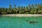 Untouched tropical shore of an island in Panama