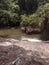 Untouched waterfall landscape and trees