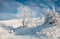 Untouched winter landscape in Carpathian mountains.