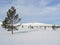 Untouched winter landscape on GrÃ¶velfjell, Central Sveden - Impression during a Cross country ski tour