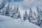 Untouched winter landscape. Misty morning scene of mountain forest.