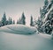 Untouched winter landscape. Spectacular morning scene of mountain forest.