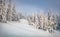 Untouched winter landscape. Stunning morning scene of mountain forest.