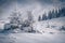 Untouched winter landscape with two small fir tree.