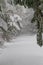 An untraveled road in winter covered in fresh snow