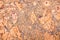 Untreated naturally cork panel background