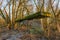 Unused bridge pier covered with moss