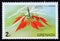 Unused postage stamp Grenada 1975, Poinsettia, Euphobia pulcherrima flower