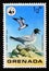 Unused postage stamp Grenada 1978, Black headed Gull, Larus ridibundus