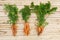 Unusual carrots on light wooden background. Three freshly dug carrots of various shapes