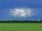 Unusual cloud against the blue sky.