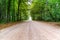 Unusual colorful autumn forest and dirt road. High dynamic range. The forest in bright and rich colors