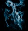 Unusual drawings of smoke on a black background