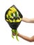 Unusual edible bouquet consisting of bananas, pears, apples, lime and black grapes in the hands of a woman on a white background