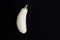 Unusual eggplant. white aubergine minimalism trend. vegetable black background