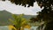 Unusual exotic trees, green coconut palms on perfect white sand of tropical Koh Phangan island. Malibu Beach landscape