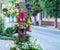 Unusual flower beds decoration of the street