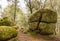 Unusual geologic rock formation forest view