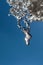 Unusual icicle on the sky background