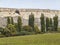 Unusual landscape with green meadow and trees against the background of the famous sight of the Crimea of the white mountains of A