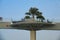 Unusual landscaping on top of a pedestrian bridge in Dubai